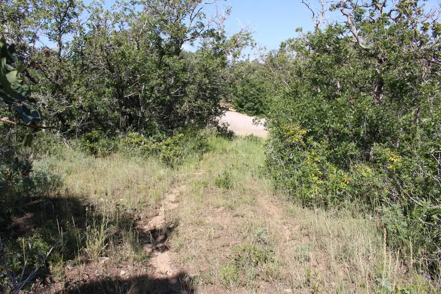 2289 S High Mountain View Dr, Cedar City, UT 84720 - #2