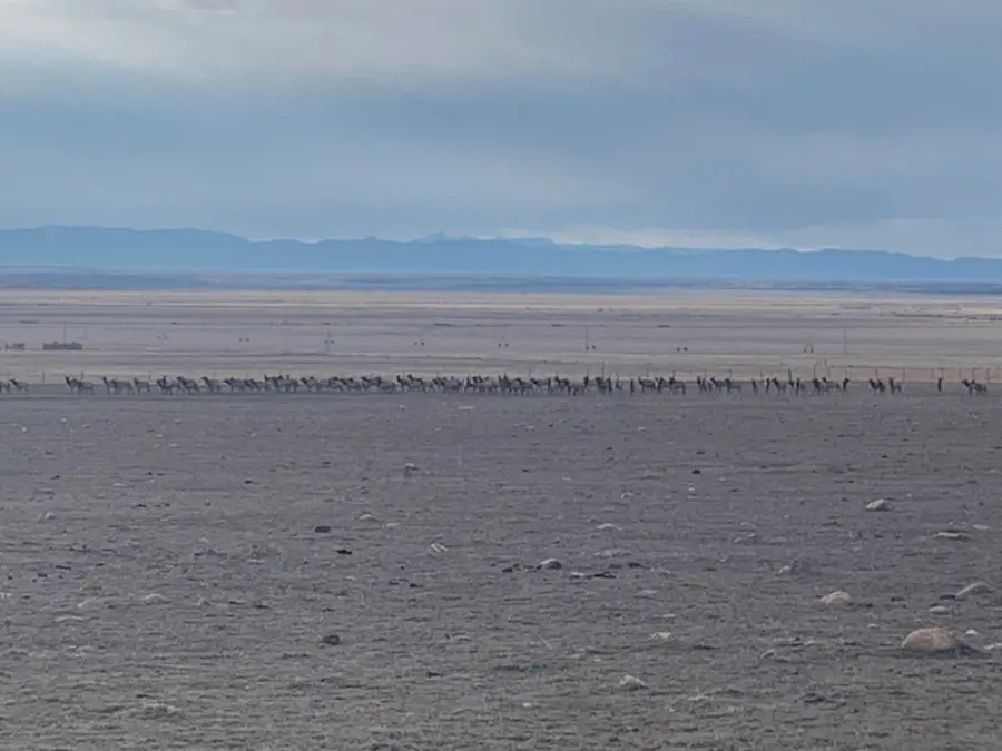 County Road 4616, Fillmore, UT 84631 - #3