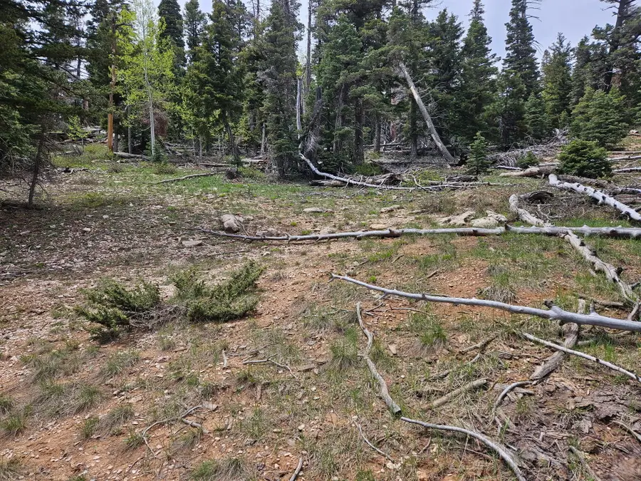 6250 W Brook Ln, Duck Creek Village, UT 84762 - #2