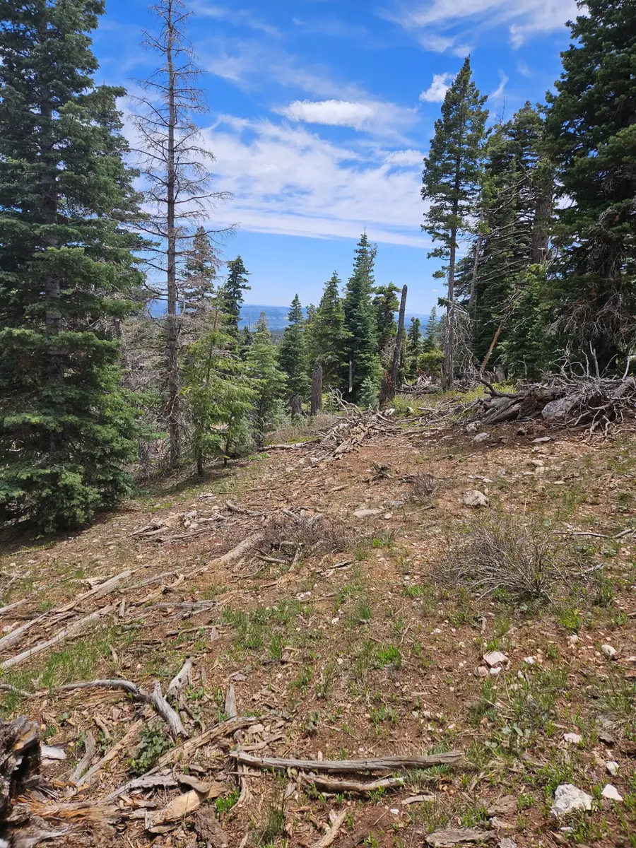 6250 W Brook Ln, Duck Creek Village, UT 84762 - #3