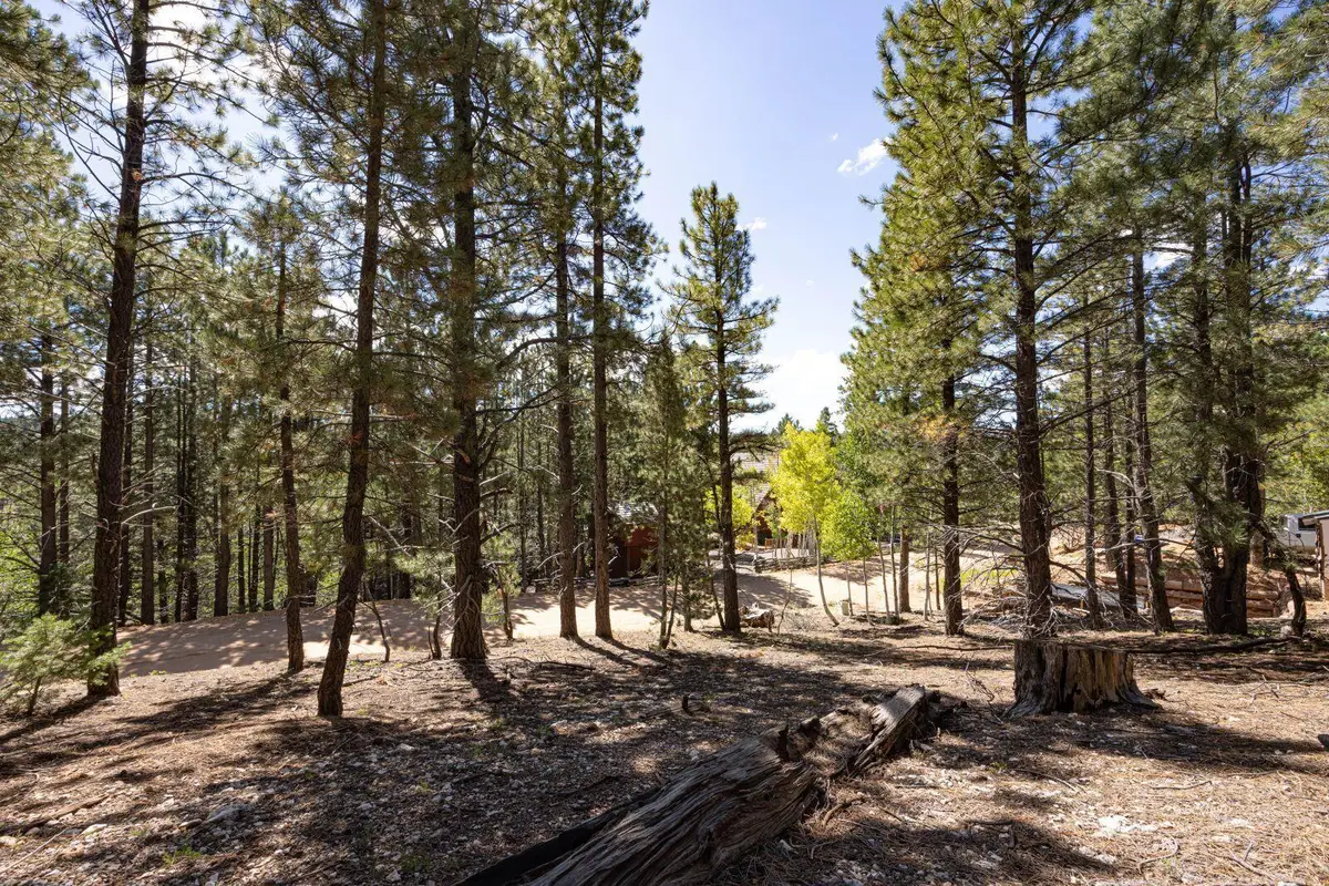 1685 E Gulf Stream Dr, Duck Creek Village, UT 84762 - #1