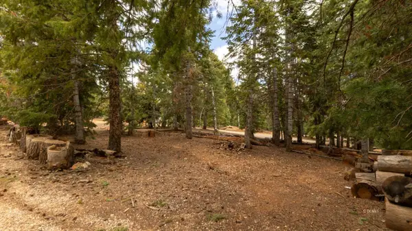 4290 N Cedar Mountain Dr, Duck Creek Village, UT 84762