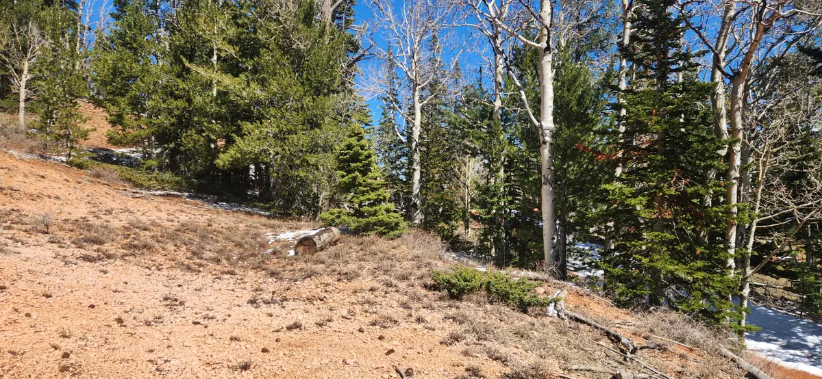 590 W Kokopelli, Brian Head, UT 84719 - #1