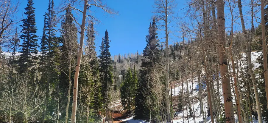 590 W Kokopelli, Brian Head, UT 84719 - #2