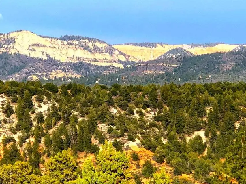 5.02 Acres Francis St, Duck Creek Village, UT 84762 - #1