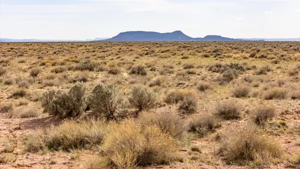 320 Acres Just Off Lund Hwy #E1/2&W1/2, W1/2,Sec 8,T33S,R13, Cedar City, UT 84721