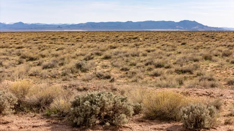 320 Acres Just Off Lund Hwy #E1/2&W1/2, W1/2,Sec 8,T33S,R13, Cedar City, UT 84721 - #2