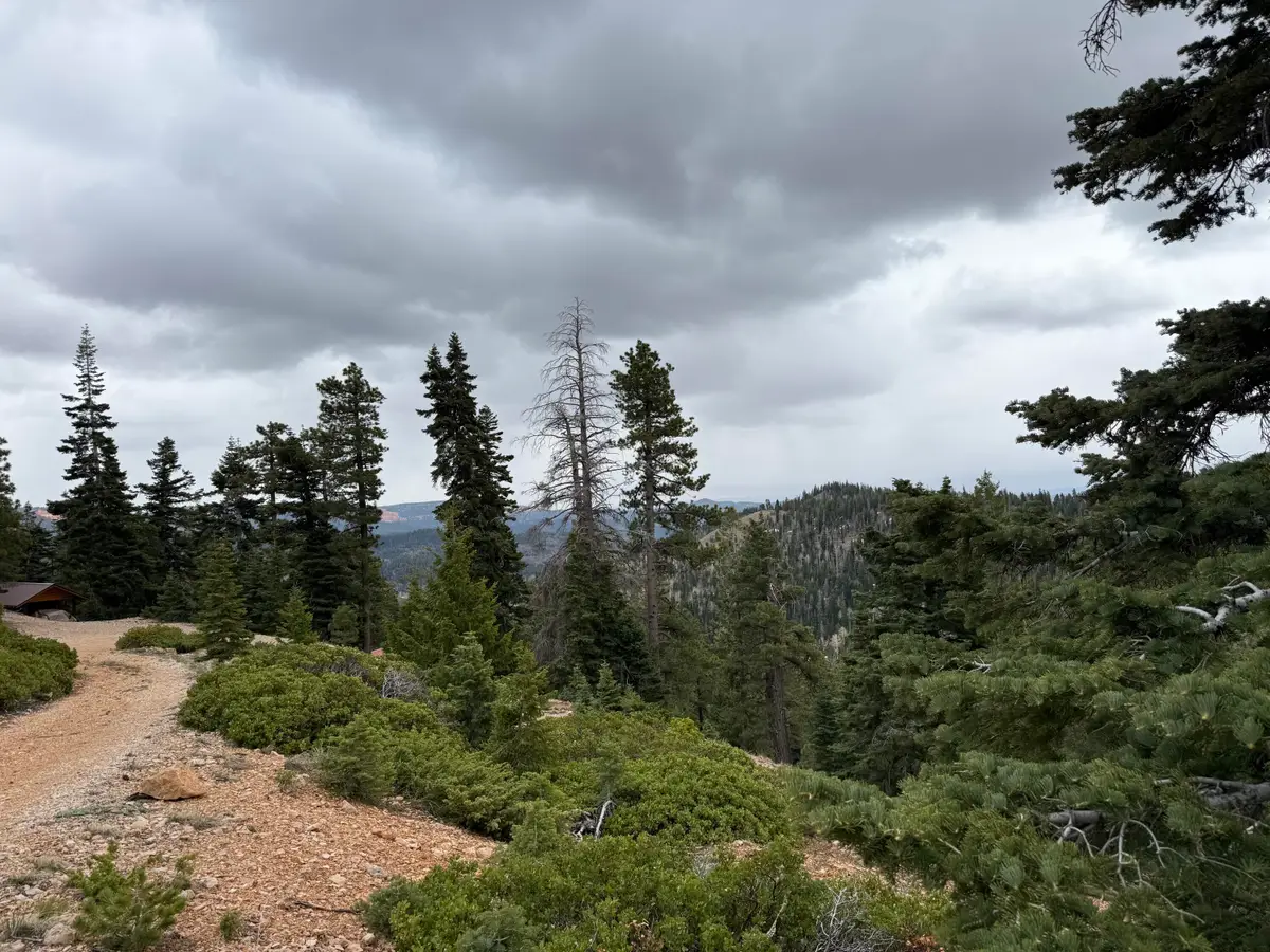 5140 W Bear Cir, Duck Creek Village, UT 84762 - #1