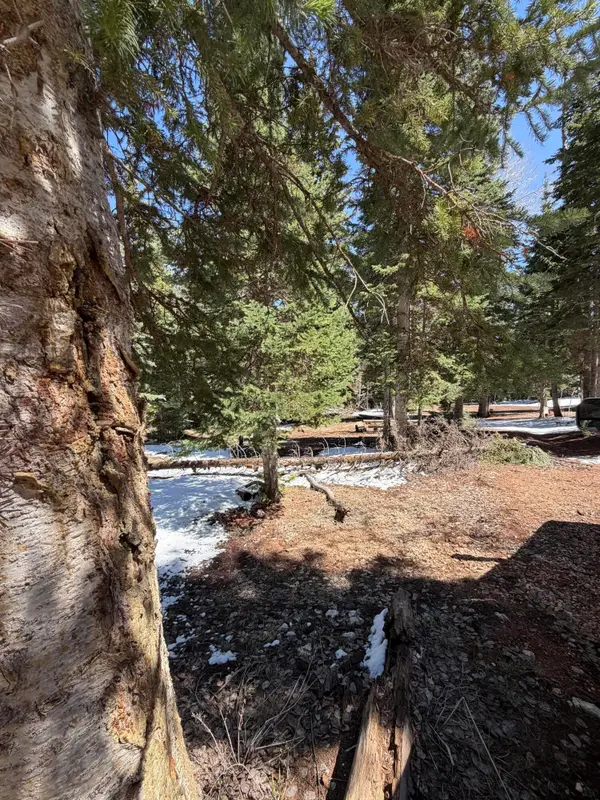 75 Buckhorn Trail, Duck Creek Village, UT 84762