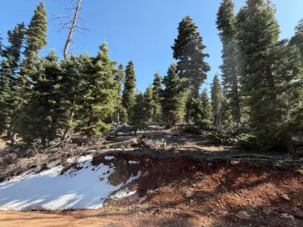 1015 W Big Horn Cir, Duck Creek Village, UT 84762