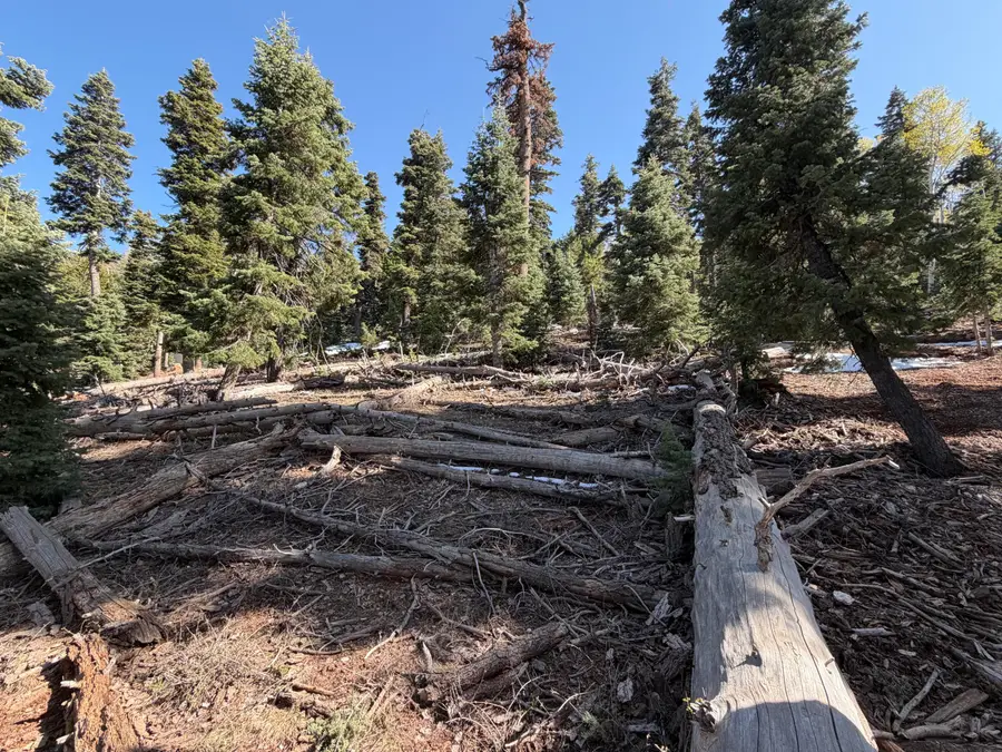 1015 W Big Horn Cir, Duck Creek Village, UT 84762 - #3