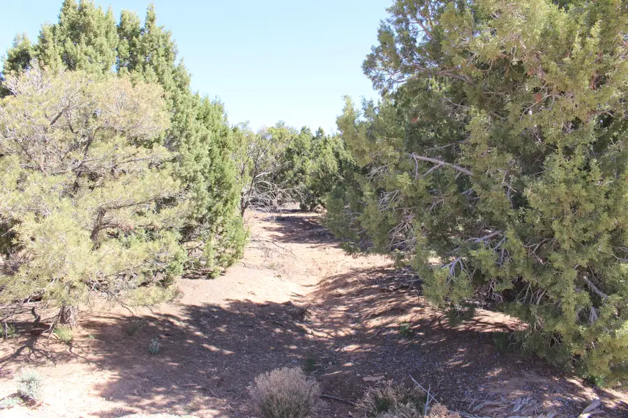 17768 W Harmony Ln, Cedar City, UT 84720 - #3