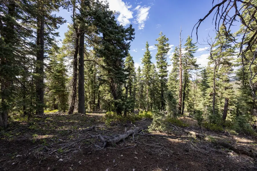 1110 Strawberry Point Rd, Duck Creek Village, UT 84762 - #3