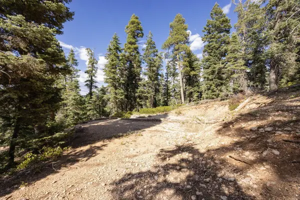 1120 W Strawberry Point Rd, Duck Creek Village, UT 84762