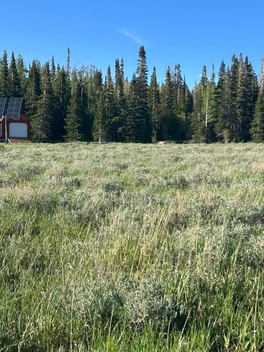 2133 E 2100, Brian Head, UT 84719 - #3