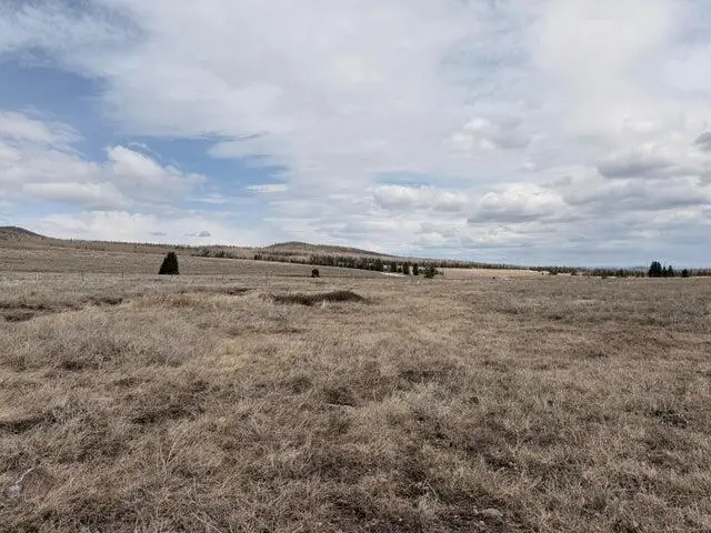 2533 E Meadow Lake Dr, Brian Head, UT 84719 - #1