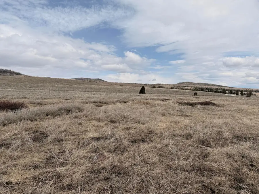 2541 E Meadow Lake Dr, Brian Head, UT 84719 - #3