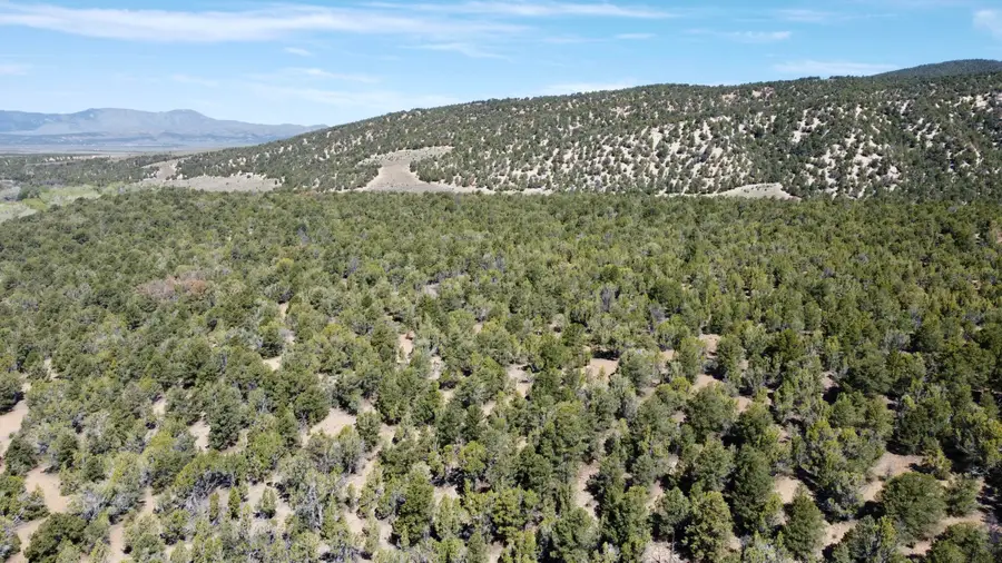 10+ acres The South Fork Of North Creek, Beaver, UT 84713 - #3