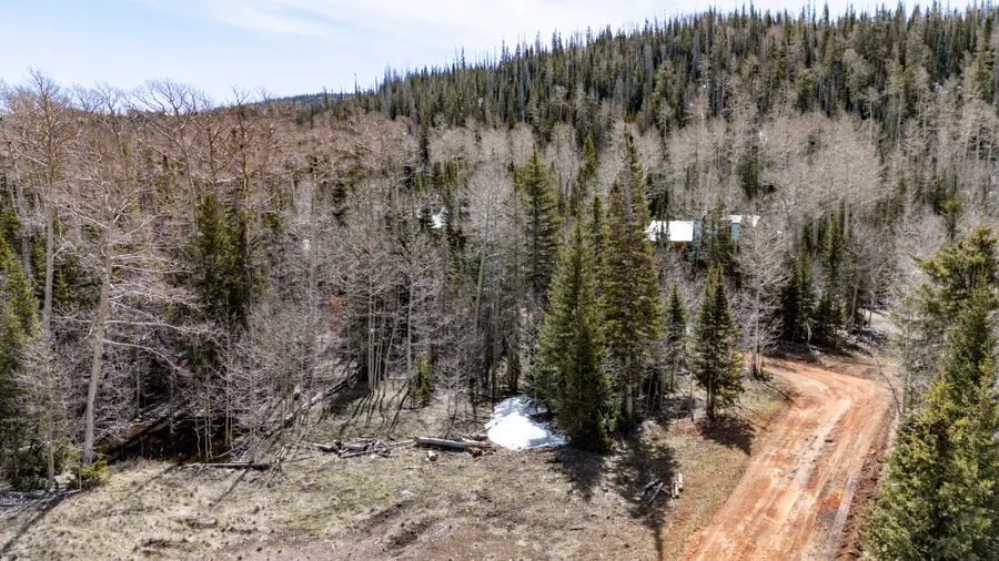 253 E Quakie Dr, Brian Head, UT 84719 - #3