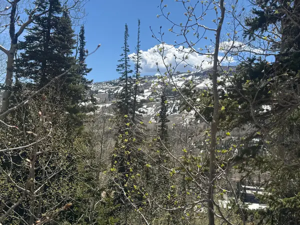 397 W Eagles Roost St #Woodbridge lot 59, Brian Head, UT 84719