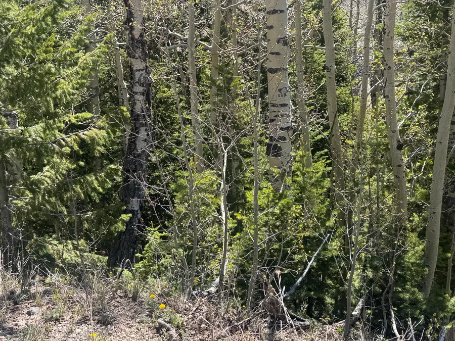 397 W Eagles Roost St #Woodbridge lot 59, Brian Head, UT 84719 - #2