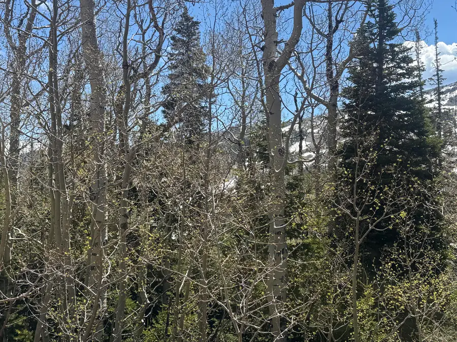 397 W Eagles Roost St #Woodbridge lot 59, Brian Head, UT 84719 - #3