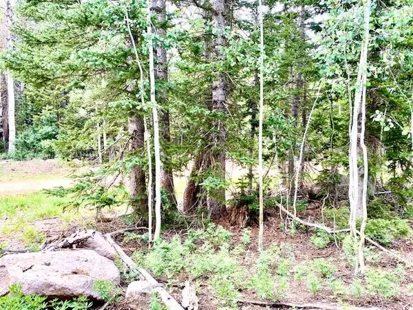 384 N 275 #Lot 91 & 92, Brian Head, UT 84719