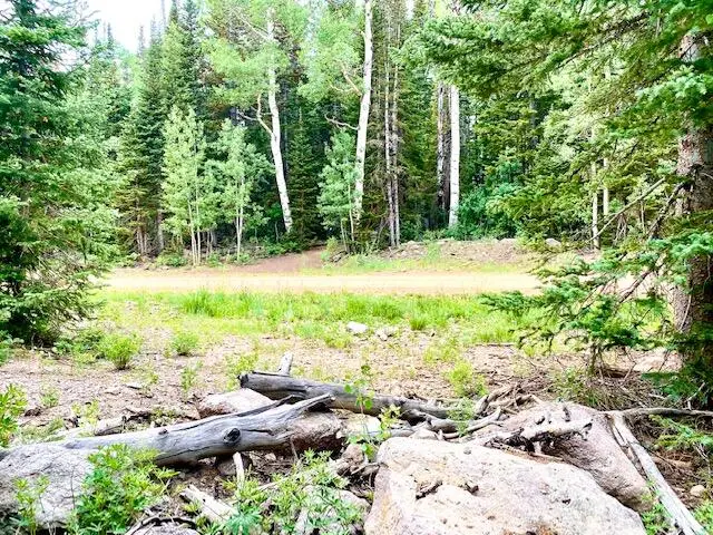 384 N 275 #Lot 91 & 92, Brian Head, UT 84719 - #2
