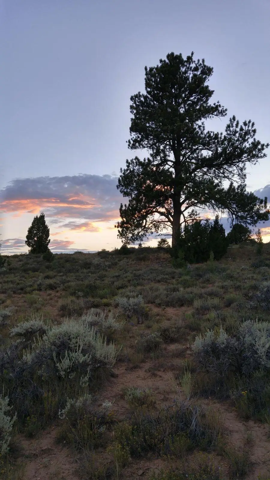 16-0081-0942, -1941, -0940,-37, Bryce Canyon, UT 84764 - #2