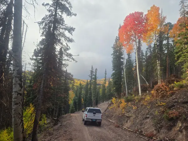 West Village Lot #159 #Eagle Point Resort, Beaver, UT 84713