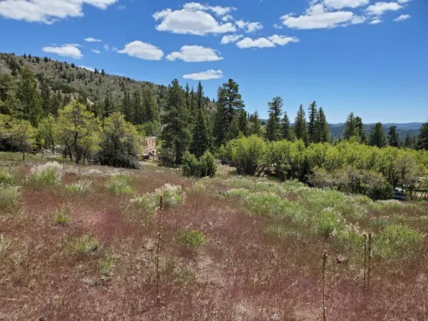 146 &147 W N Cottonwood Cir, Duck Creek Village, UT 84762