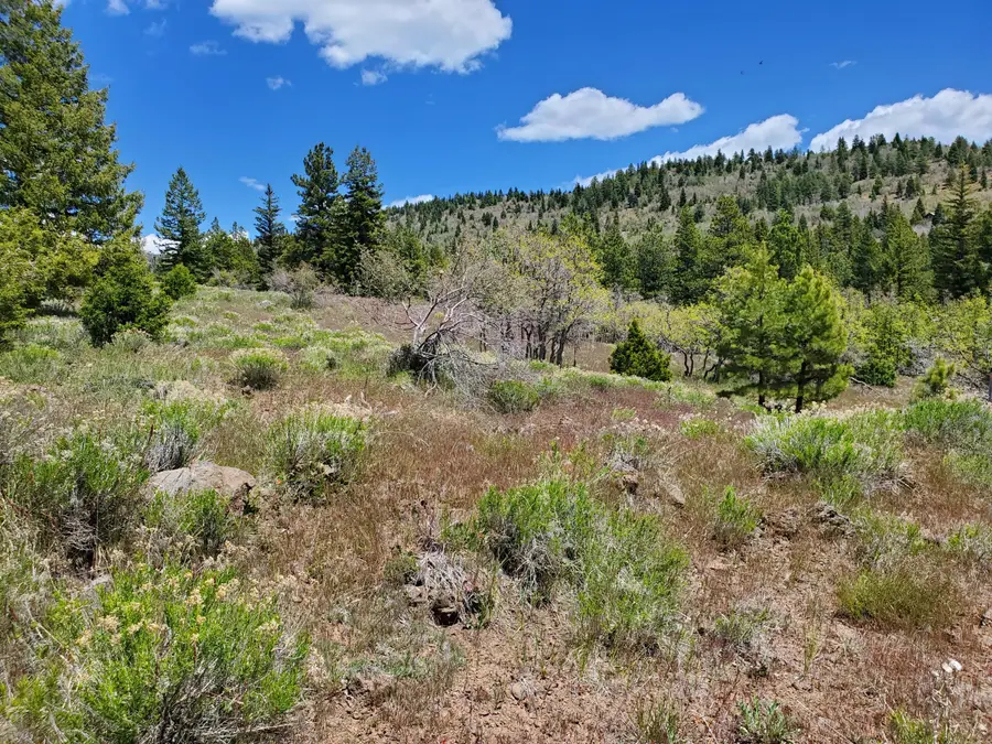 146 &147 W N Cottonwood Cir, Duck Creek Village, UT 84762 - #3