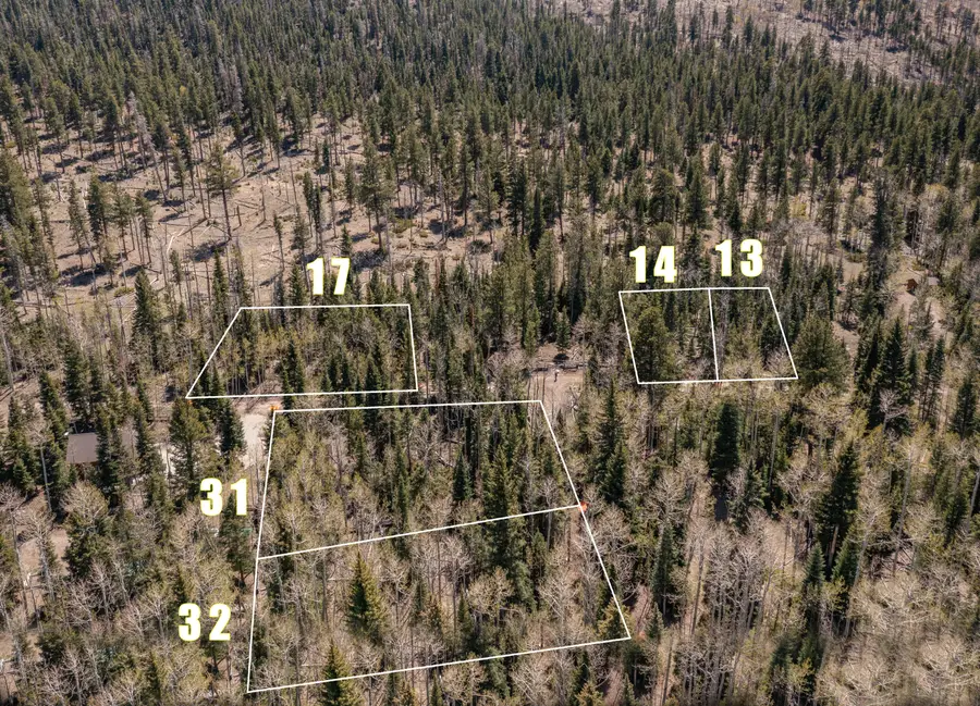 Clear Creek Estates Lot 13, Panguitch Lake, UT 84759 - #2