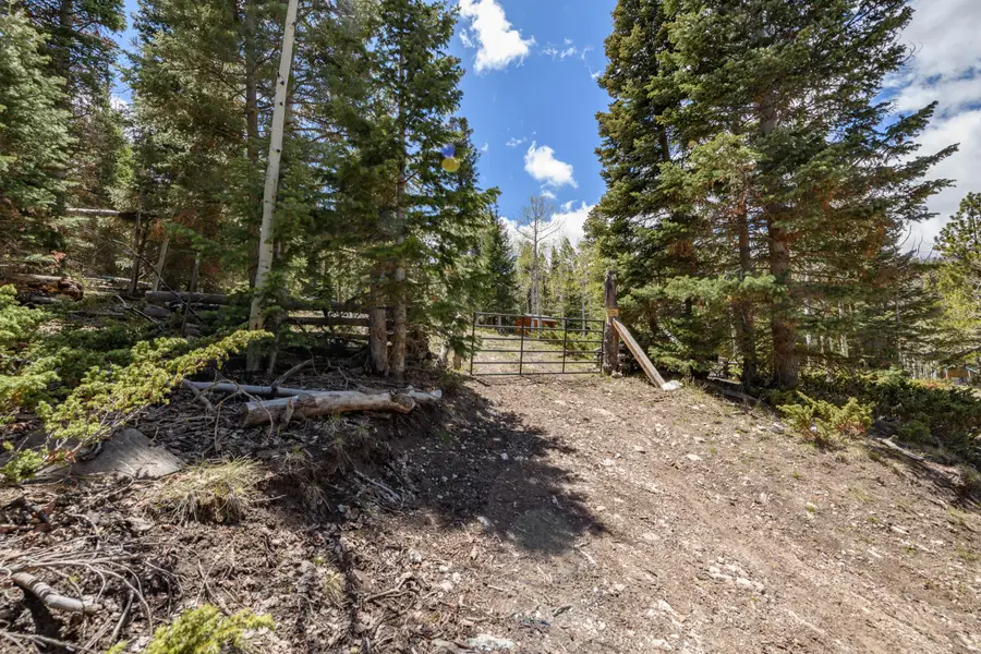 Clear Creek Estates Lot 13, Panguitch Lake, UT 84759 - #3