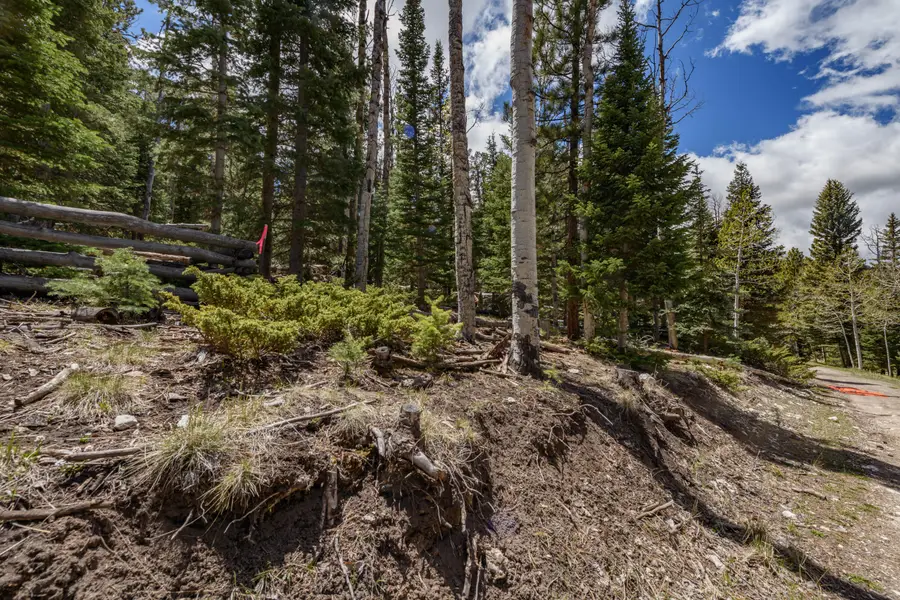 Clear Creek Estates Lot 14, Panguitch Lake, UT 84759 - #3