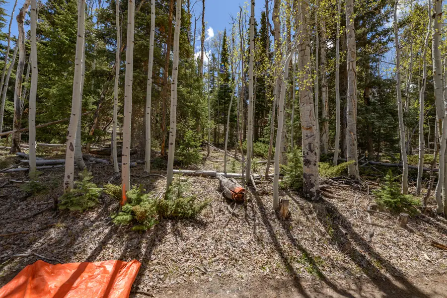 Clear Creek Estates Lot 17, Panguitch Lake, UT 84759 - #2
