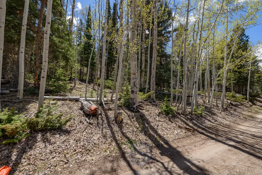 Clear Creek Estates Lot 17, Panguitch Lake, UT 84759 - #3