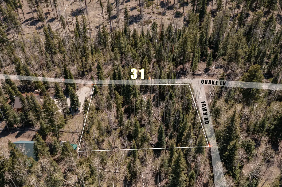 Clear Creek Estates Lot 31, Panguitch Lake, UT 84759 - #1