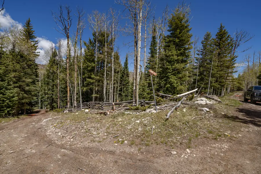 Clear Creek Estates Lot 31, Panguitch Lake, UT 84759 - #2