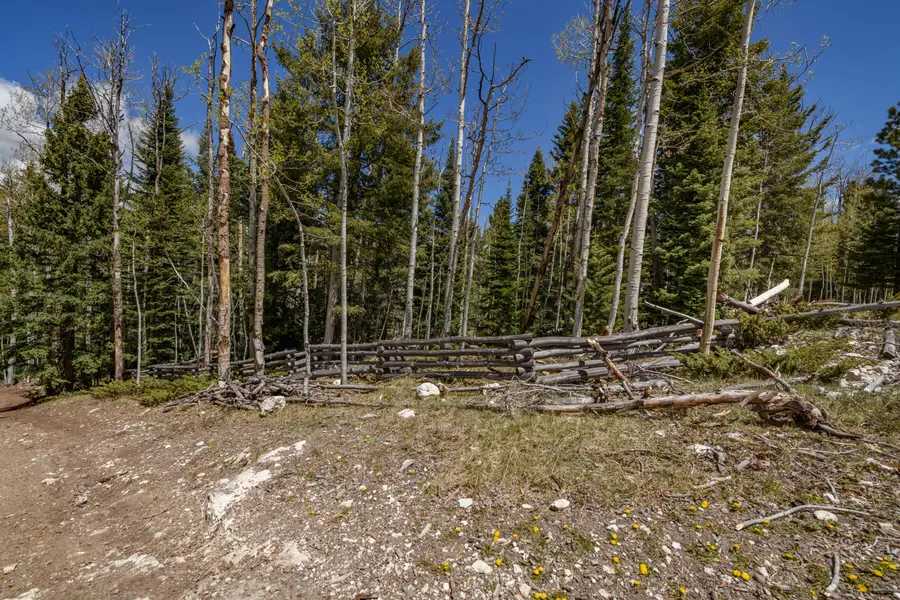 Clear Creek Estates Lot 31, Panguitch Lake, UT 84759 - #3