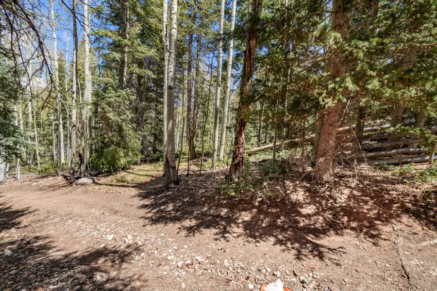 Clear Creek Estates Lot 32, Panguitch Lake, UT 84759 - #2
