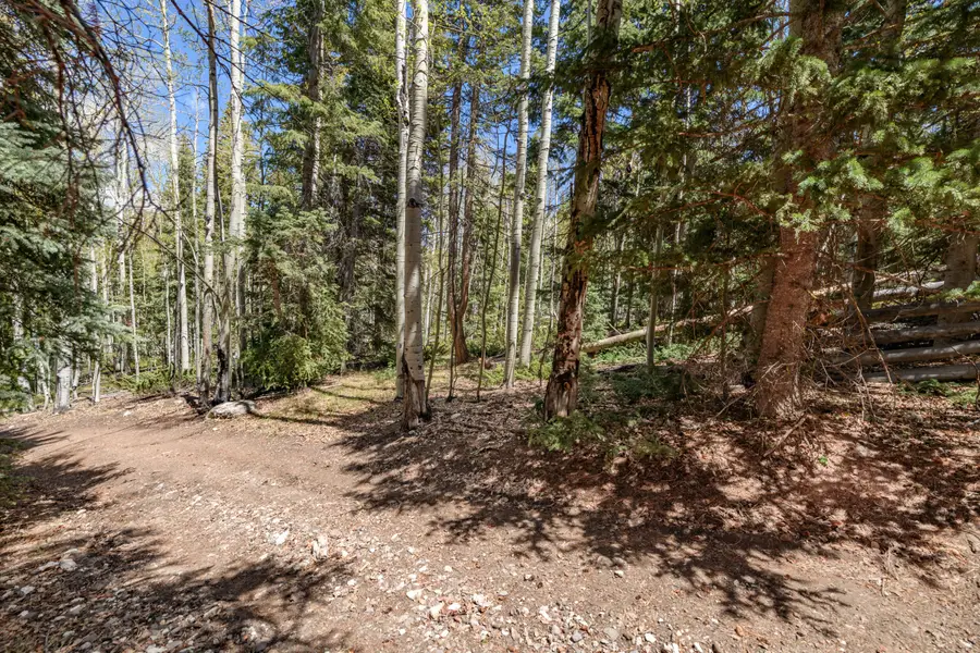 Clear Creek Estates Lot 32, Panguitch Lake, UT 84759 - #3