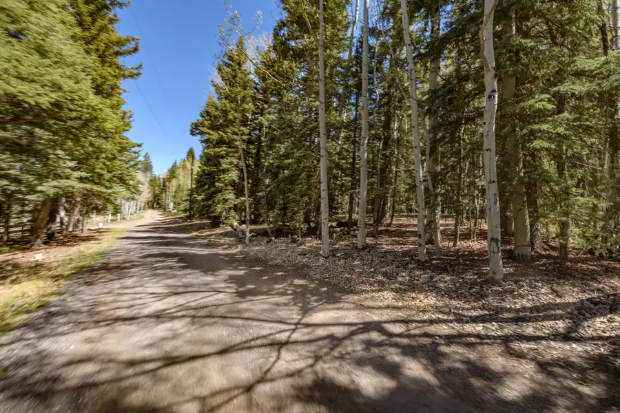 Clear Creek Estates Lot 36, Panguitch Lake, UT 84759 - #2