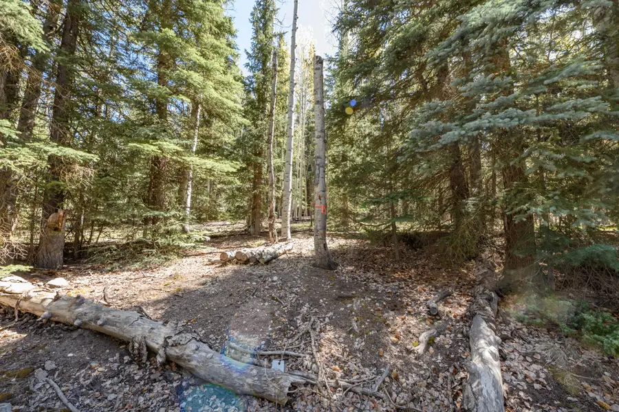 Clear Creek Estates Lot 36, Panguitch Lake, UT 84759 - #3
