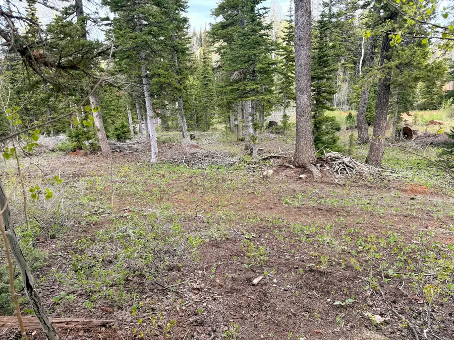 646 W Ski View Dr, Brian Head, UT 84719 - #3