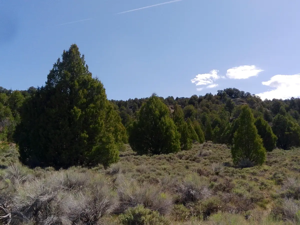 Lot M-8 N Havasupai Dr, Alton, UT 84710 - #1