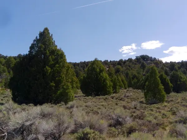 Lot M-8 N Havasupai Dr, Alton, UT 84710