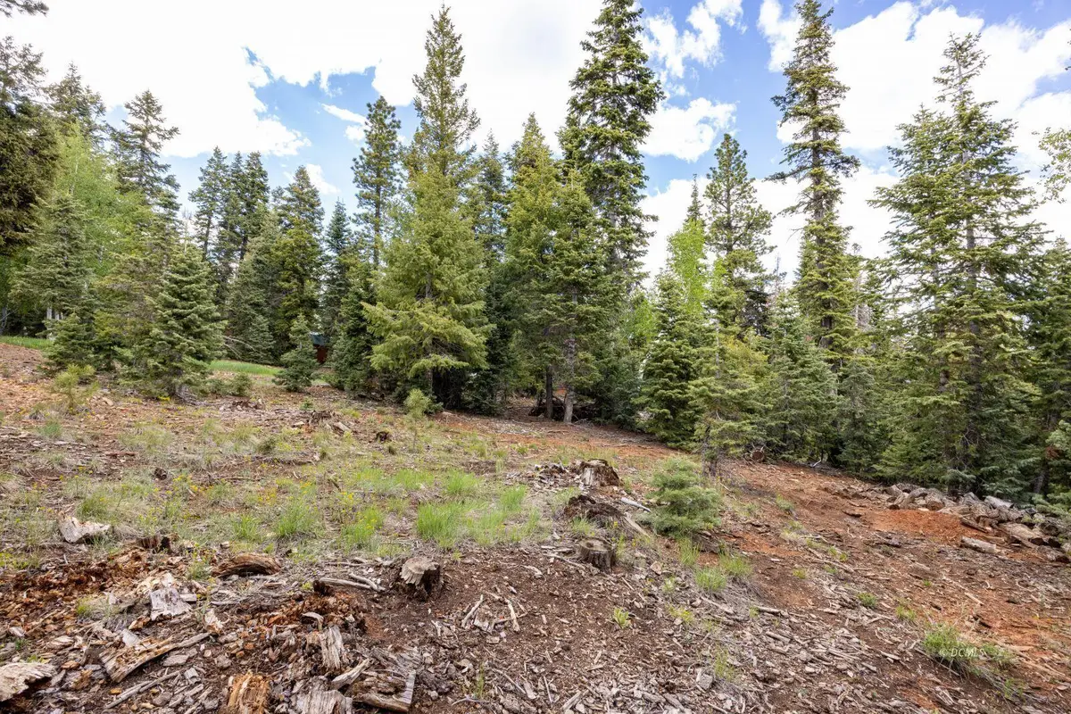 985 Bonanza Rd, Duck Creek Village, UT 84762 - #1