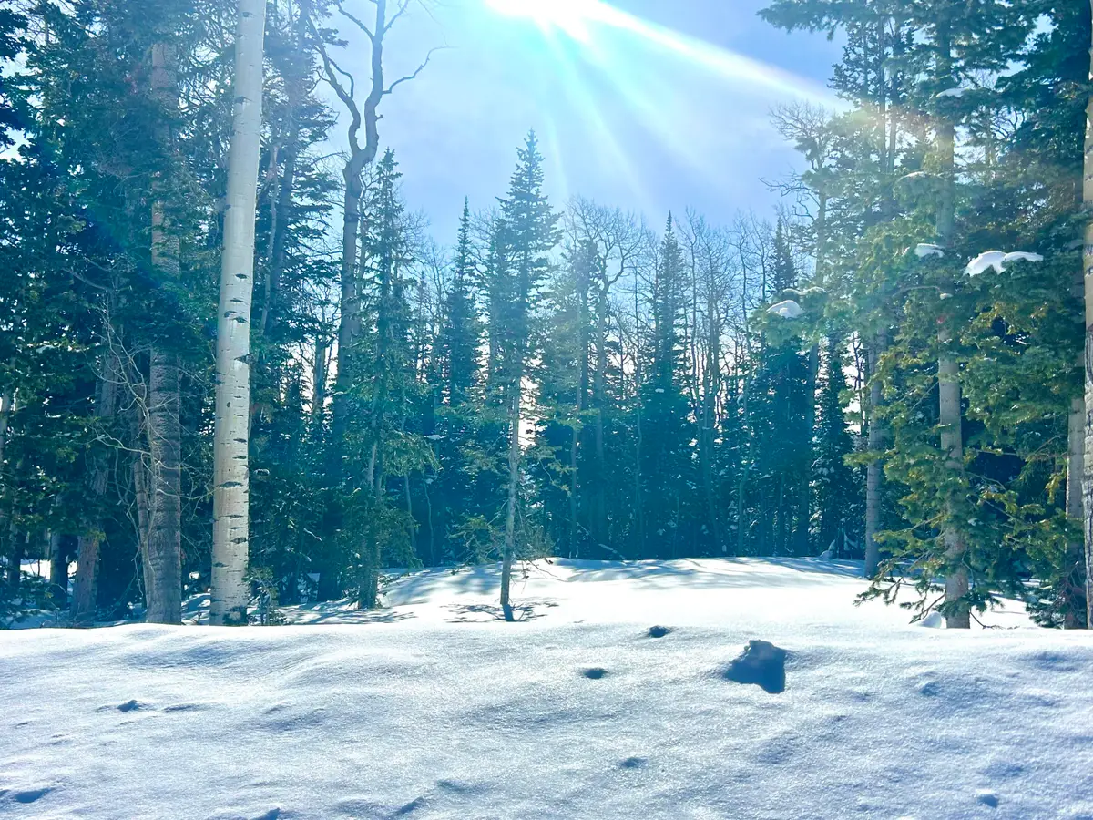 Lot 71, Trails At Navajo, Brian Head, UT 84719 - #1