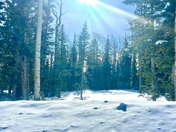 Lot 71, Trails At Navajo, Brian Head, UT 84719
